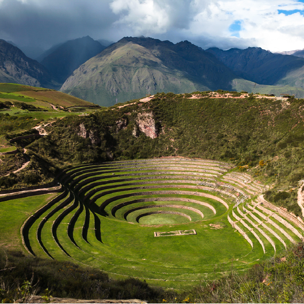 Maras Moray