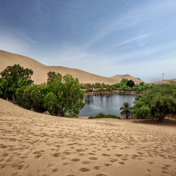 Ballestas Islands and Huacachina