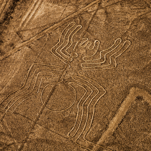Nazca Lines Flight