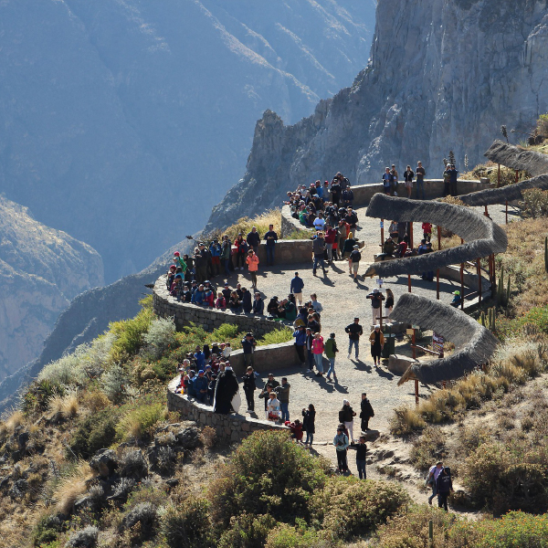 Colca Canyon Tour