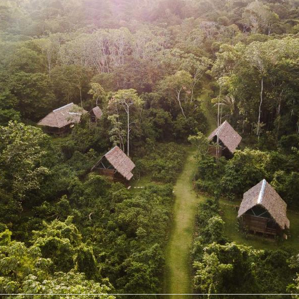 Amazon Rainforest - Puerto Maldonado