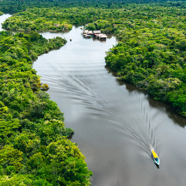 Sandoval Lake - Amazon